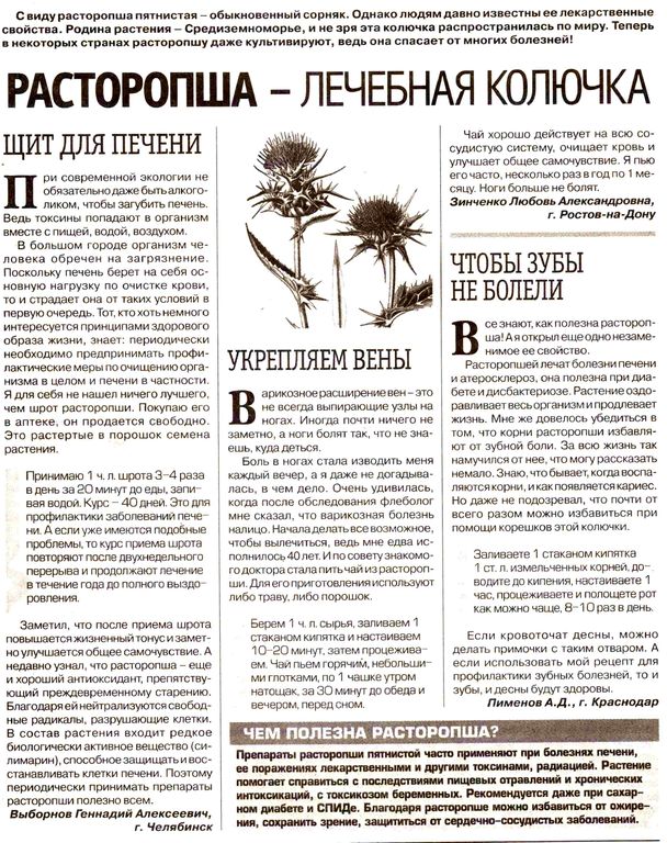 Расторопша семена 100 гр. в Нижнем Новгороде