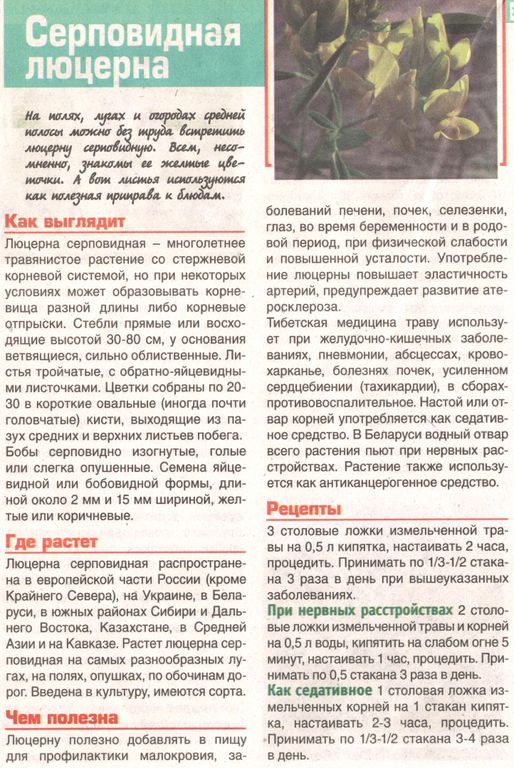 Люцерна трава 250 гр. в Нижнем Новгороде