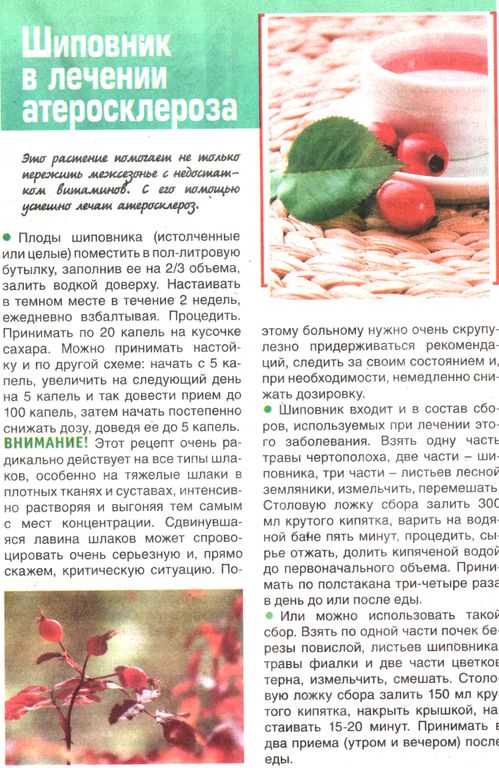 Шиповник плоды 100 гр. в Нижнем Новгороде