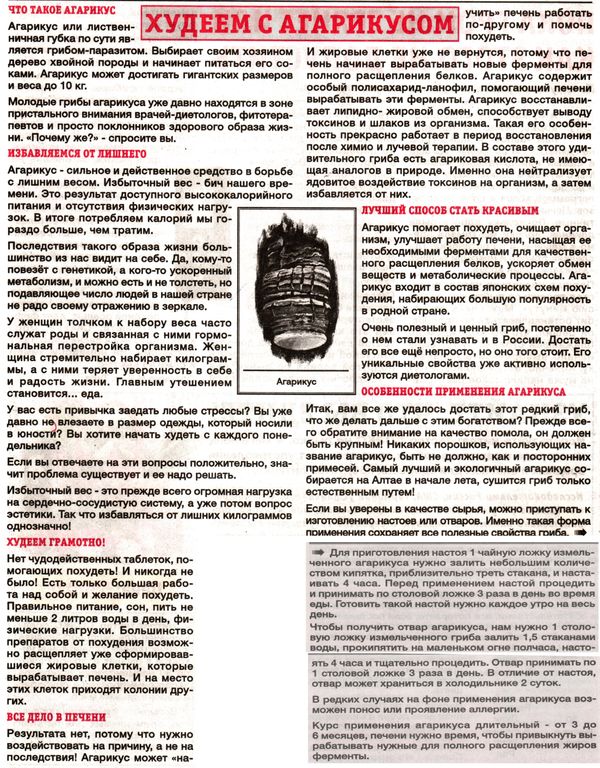 Агарик гриб 100 гр. в Нижнем Новгороде