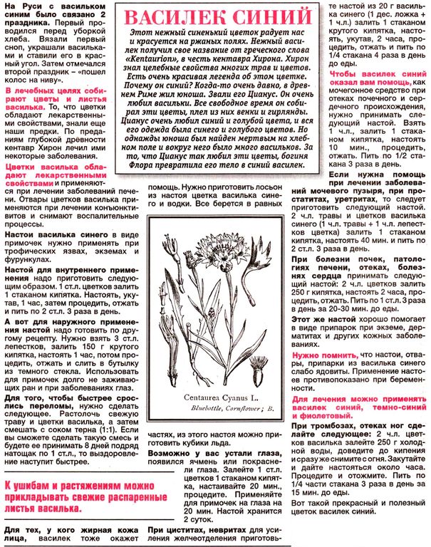 Василек цветки 100 гр. в Нижнем Новгороде