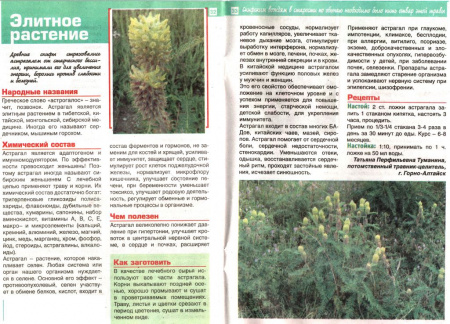 Астрагал перепончатый, трава 100 гр. в Нижнем Новгороде
