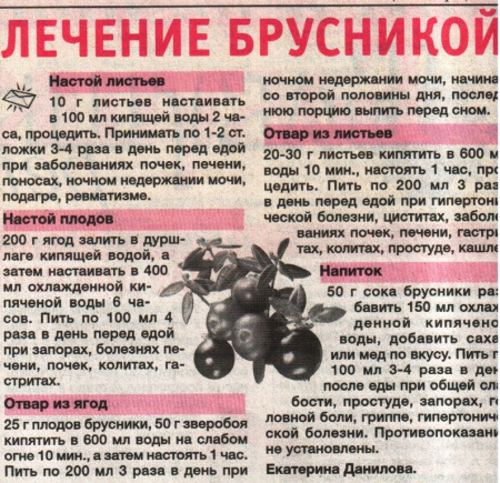 Брусника лист 100 гр. в Нижнем Новгороде
