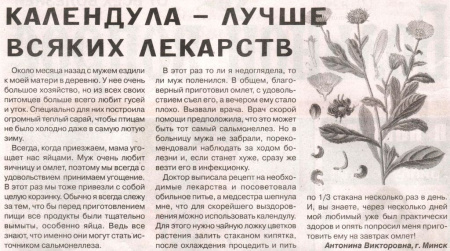 Календула цветы 100 гр. в Нижнем Новгороде