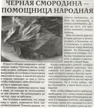 Смородина лист 200 гр. в Нижнем Новгороде