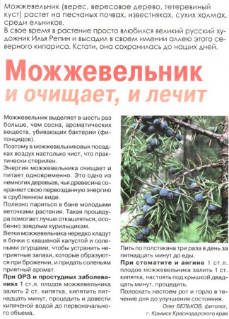 Можжевельник плод 100 гр. в Нижнем Новгороде