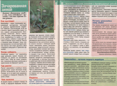 Зимолюбка трава 200 гр. в Нижнем Новгороде